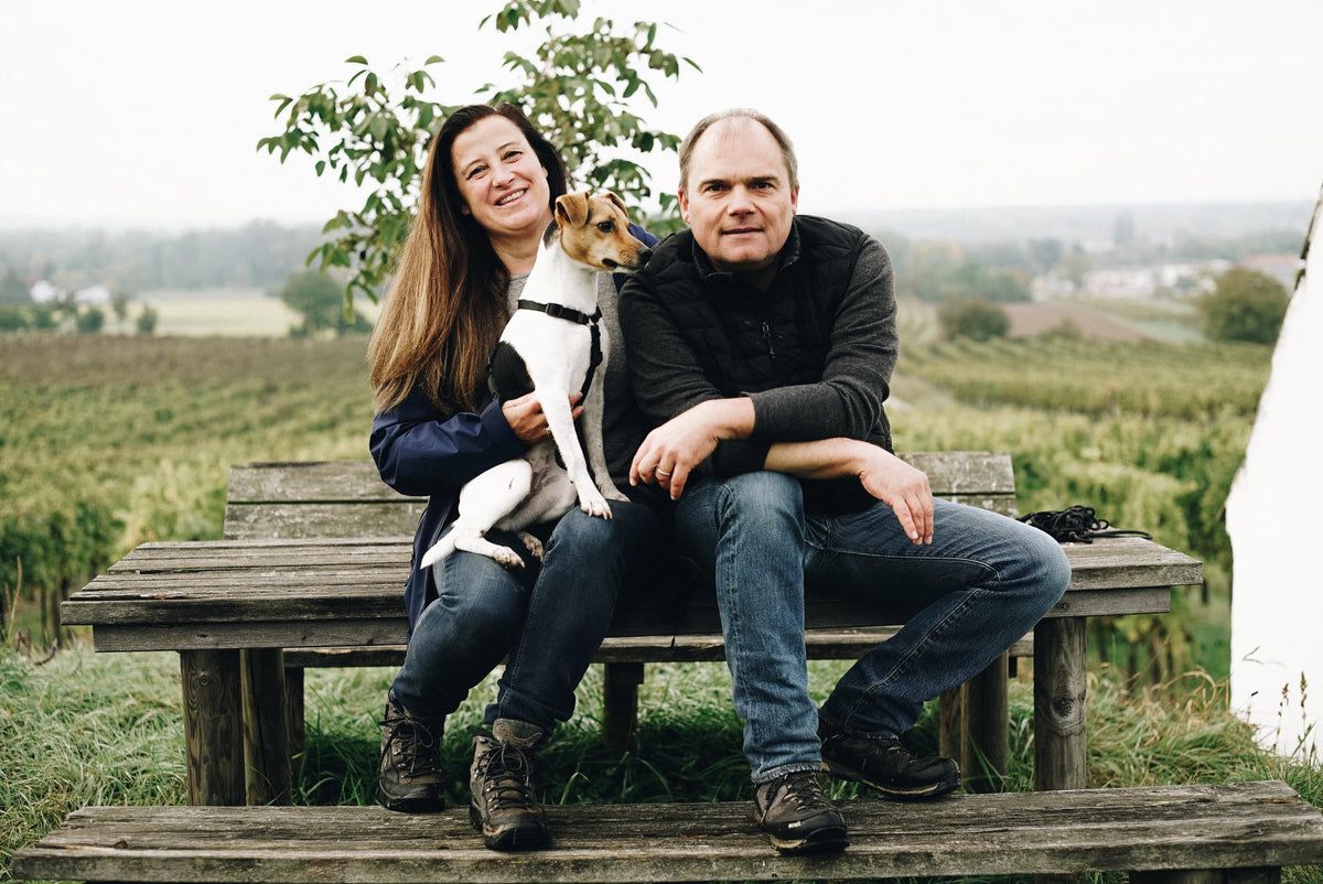 Weingut Hirsch Bild 1