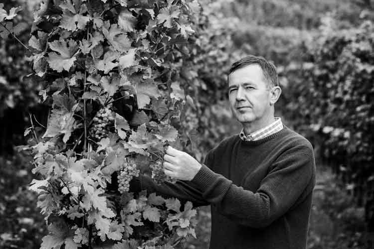 Weingut Nigl Bild 1