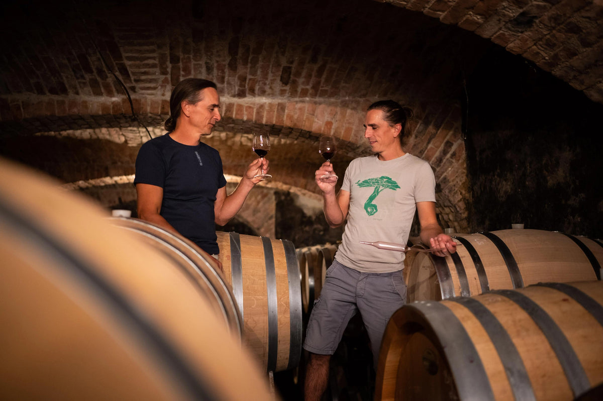 Weingut Ernst Triebaumer Bild 1