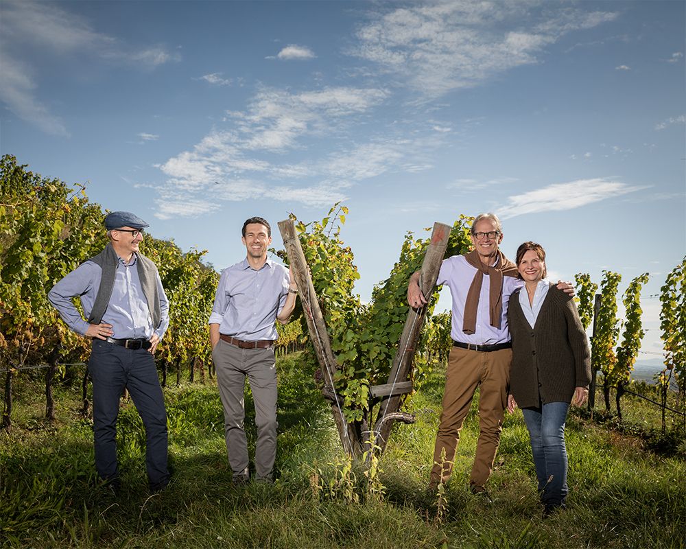 Weingut Bründlmayer Bild 1