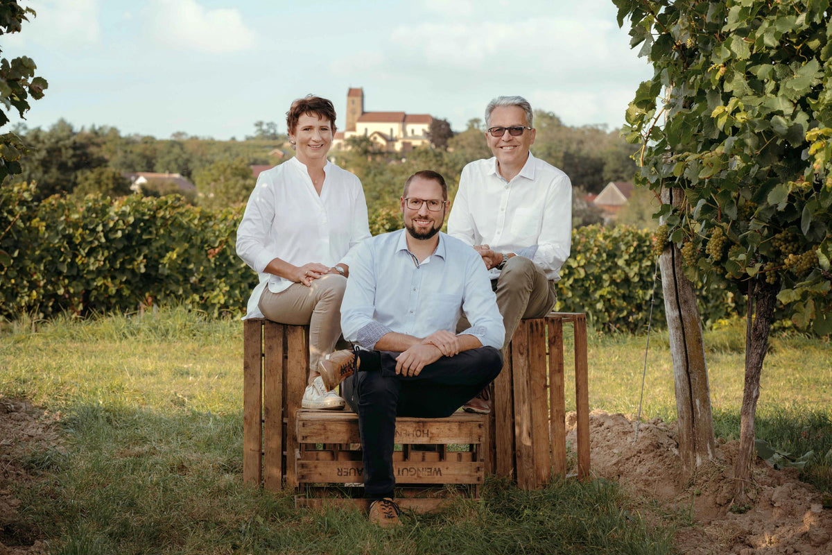 Weingut Hofbauer-Schmidt Bild 1
