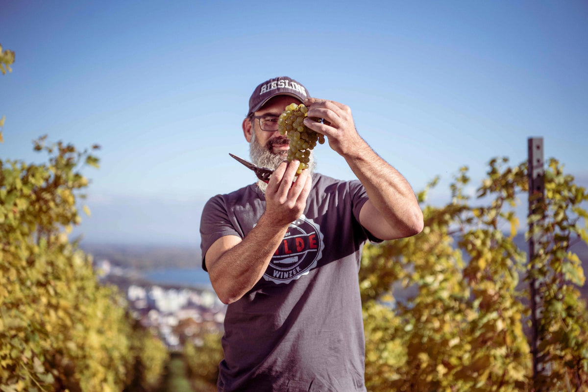 Weingut Alexander Zöller Bild 1