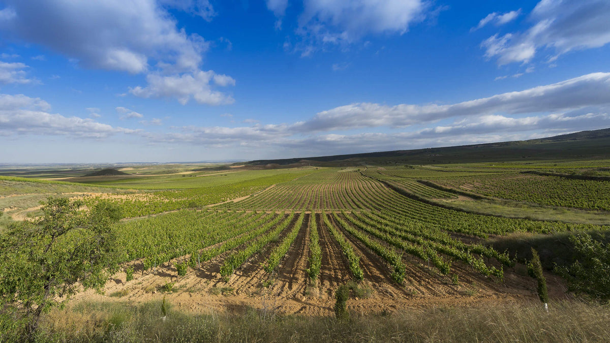 Fincas de Azabache Bild 1
