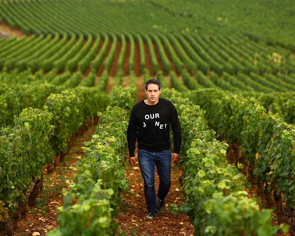 Domaine Chavy-Chouet Bild 1