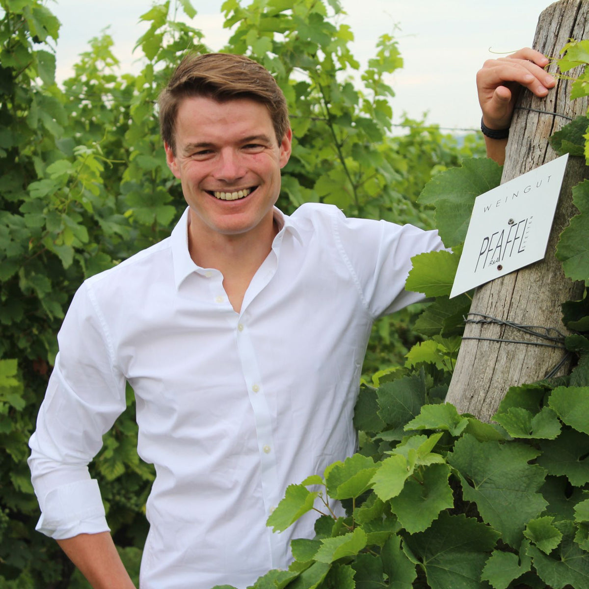 Weingut Pfaffl Bild 1