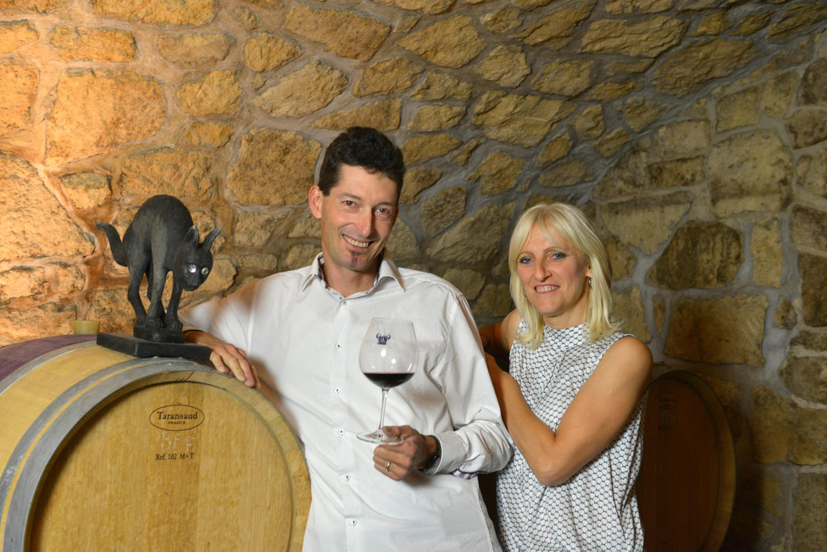 Weingut Kollwentz Bild 1