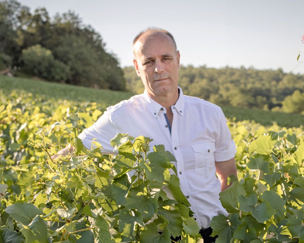 Domaine du Colombier Bild 1