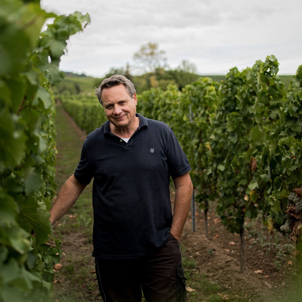 Weingut Leitz Bild 1