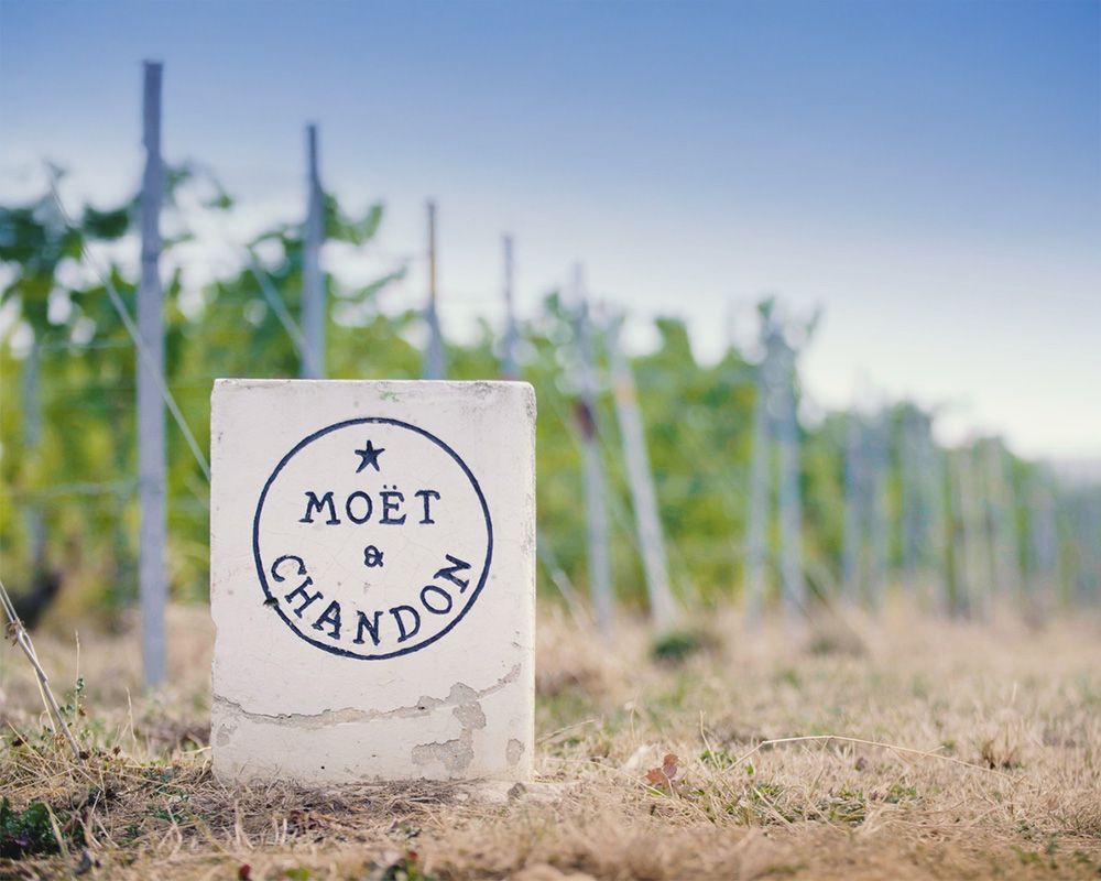 Moët & Chandon Bild 1