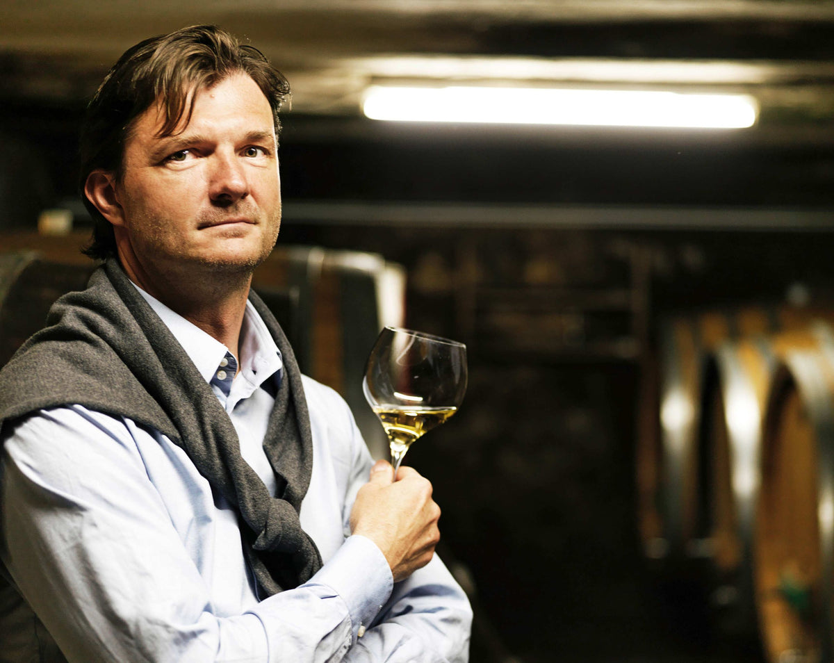 Weingut Heinz Velich Bild 1
