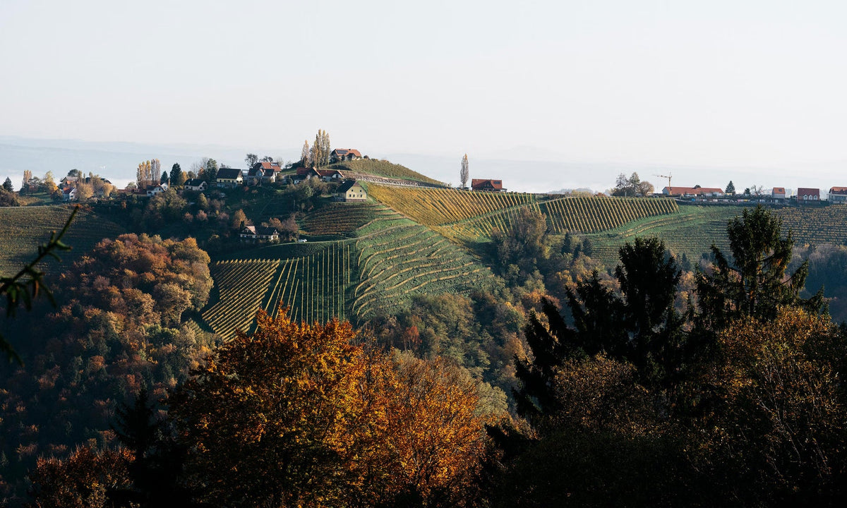 Weingut Wohlmuth