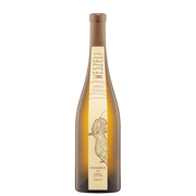 Grüner Veltliner Ried Schenkenbichl 1ÖTW Kamptal DAC Reserve 2020