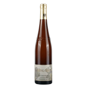 Riesling Rothenberg wurzelecht 2023