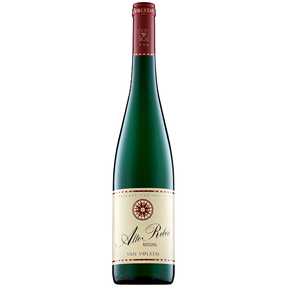 Riesling Alte Reben 2024