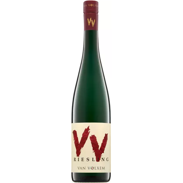 Riesling VV Schiefer feinherb 2024