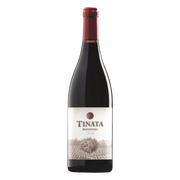 Tinata IGT 2013
