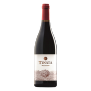 Tinata IGT 2019