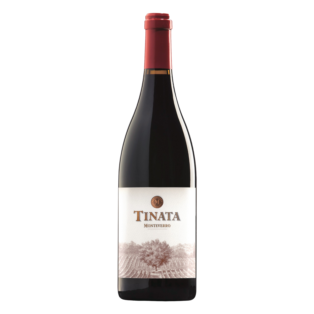 Tinata IGT 2019