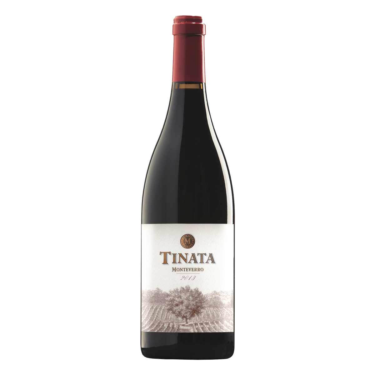 Tinata IGT 2021