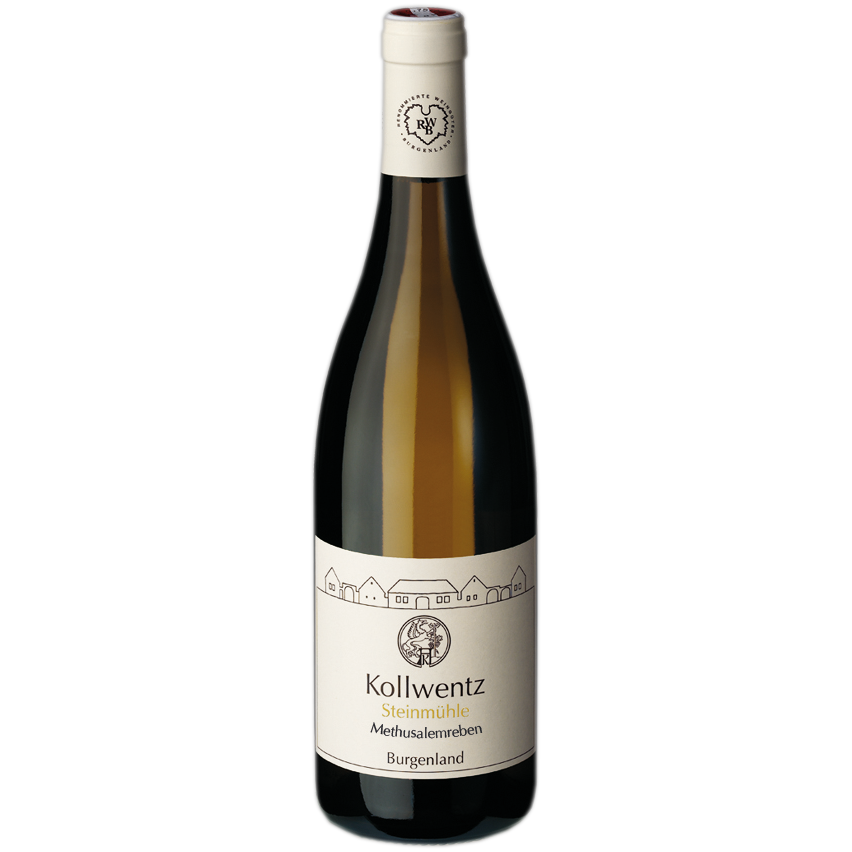 Sauvignon Blanc Ried Steinmühle Methusalemreben 2022