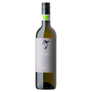 Pinot Grigio delle Venezie DOC 2024
