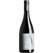 Ruster Chardonnay Albatros 2019