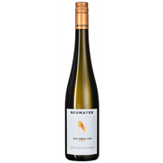 Grüner Veltliner Der Wein vom Stein Traisental DAC 2023