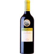 Malleolus de Sanchomartin 2011