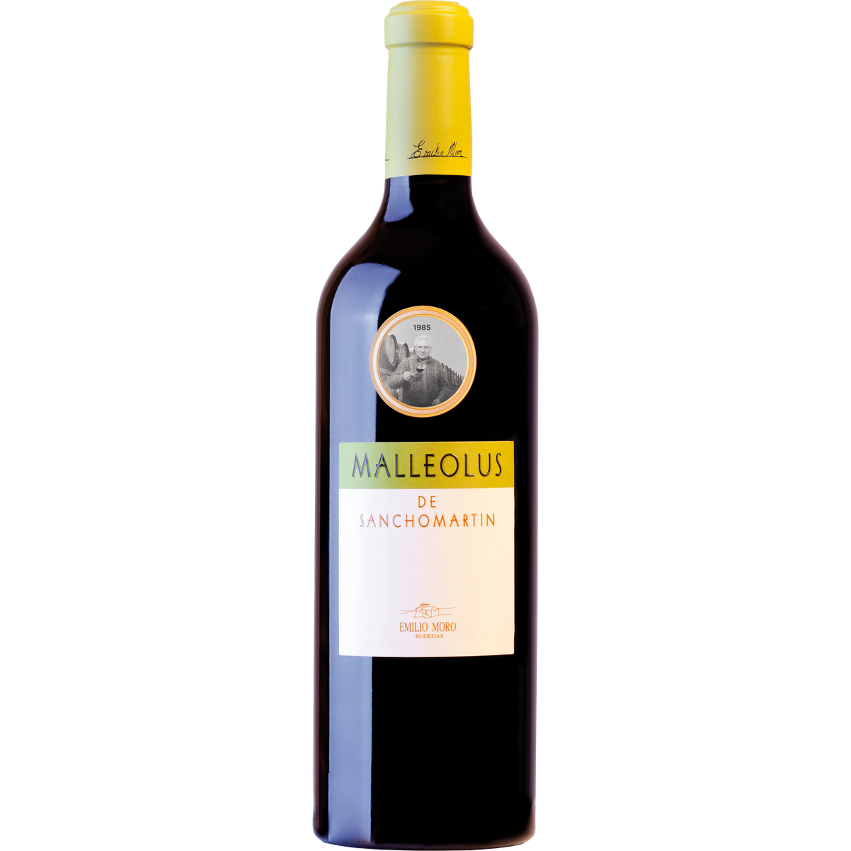 Malleolus de Sanchomartin 2021