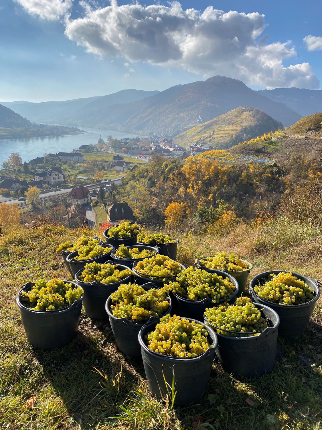 Weingut Atzberg Bild 2