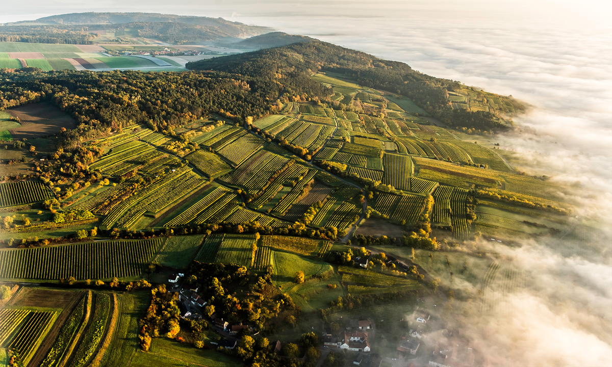 Header Alp Jus by Mike Nährer & Tom Dockner