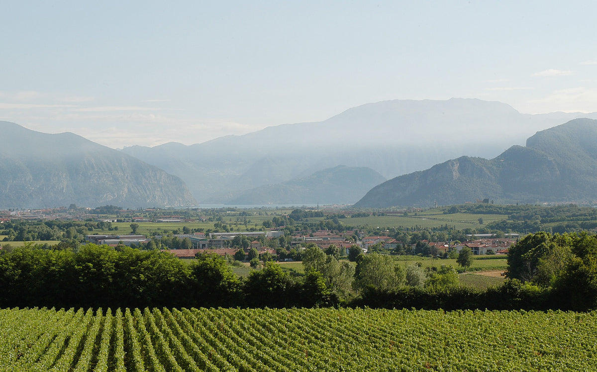 Ca del Bosco Bild 2