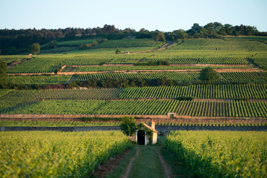 Header Comte Armand- Domaine des Épeneaux