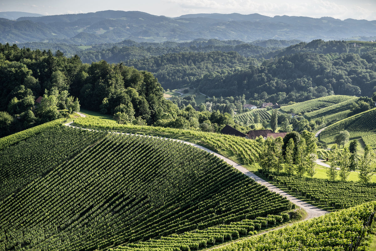 Header Domaine Ciringa
