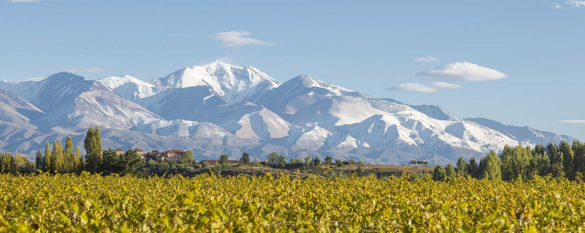 Header Bodega Catena Zapata