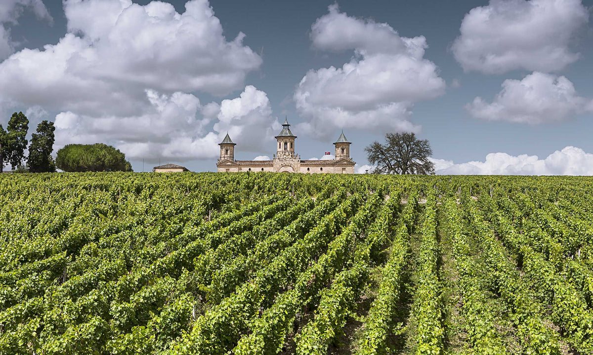 Header Château Cos d`Estournel