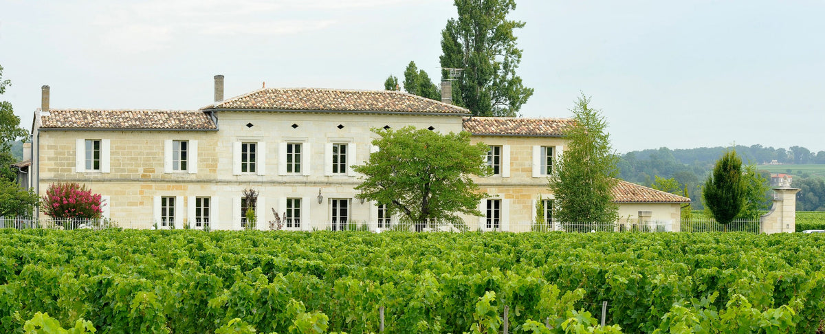 Header Château Grand Corbin-Despagne