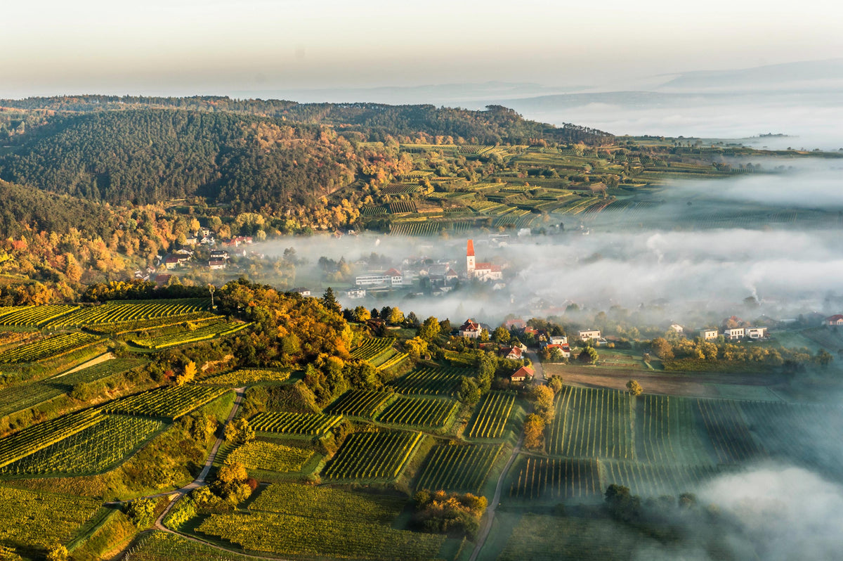 Header Weingut Tom Dockner