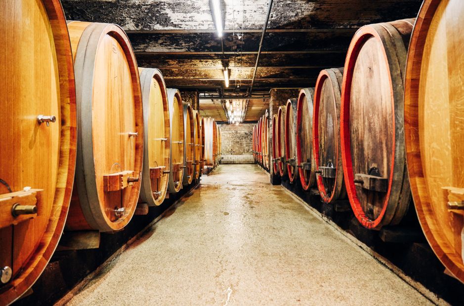 Weingut Dönnhof Bild 2