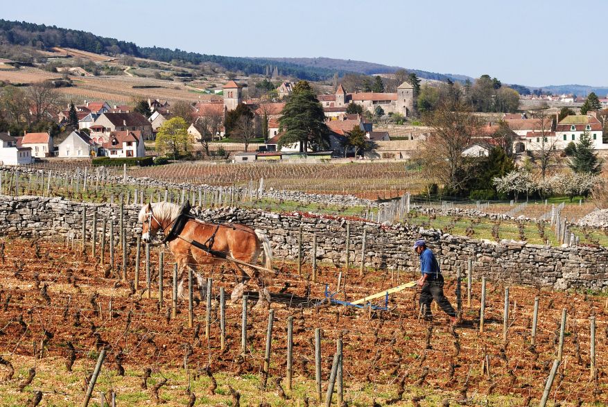 Domaine Bernard Dugat-Py Bild 2