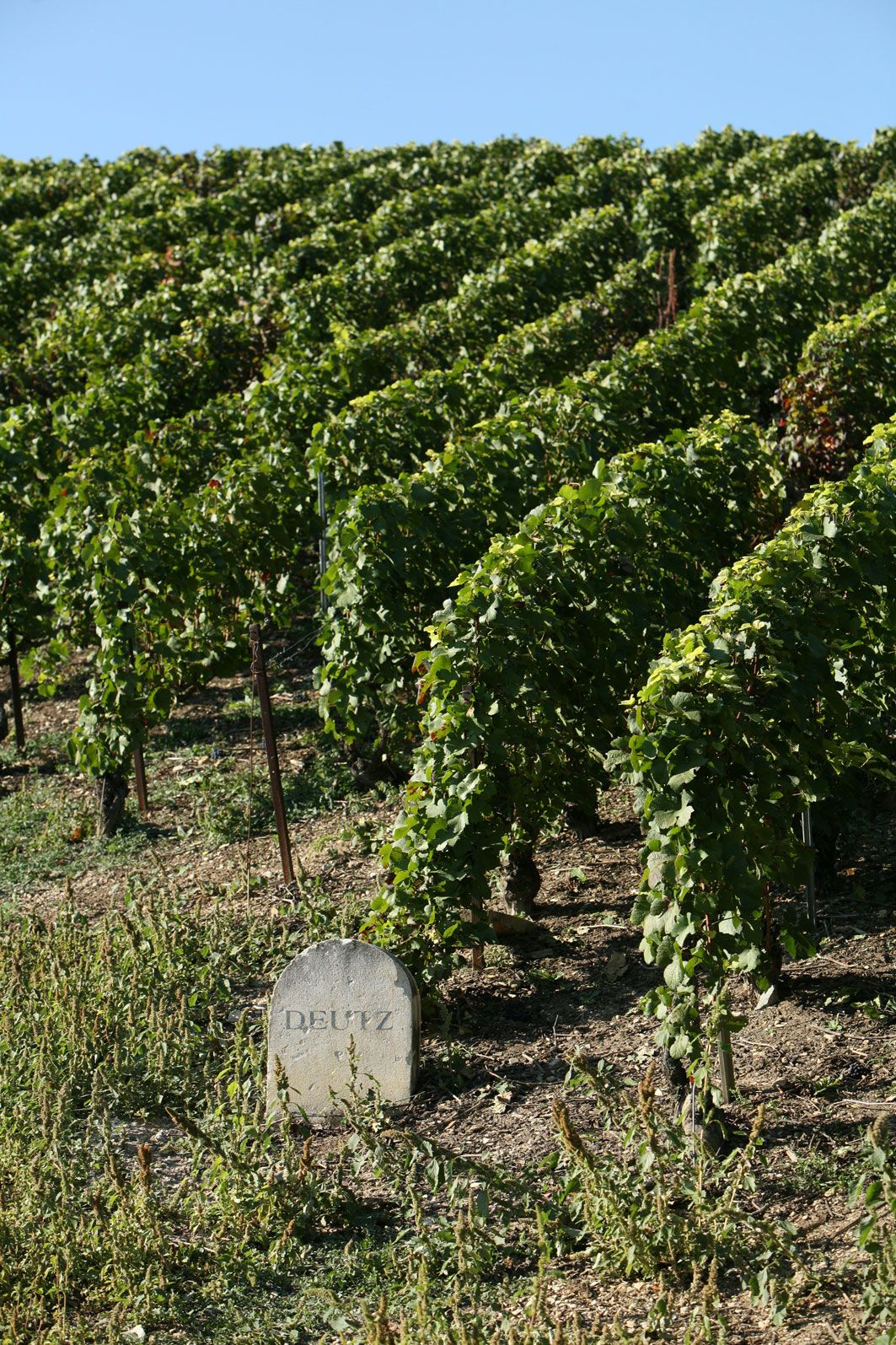 Deutz Bild 2
