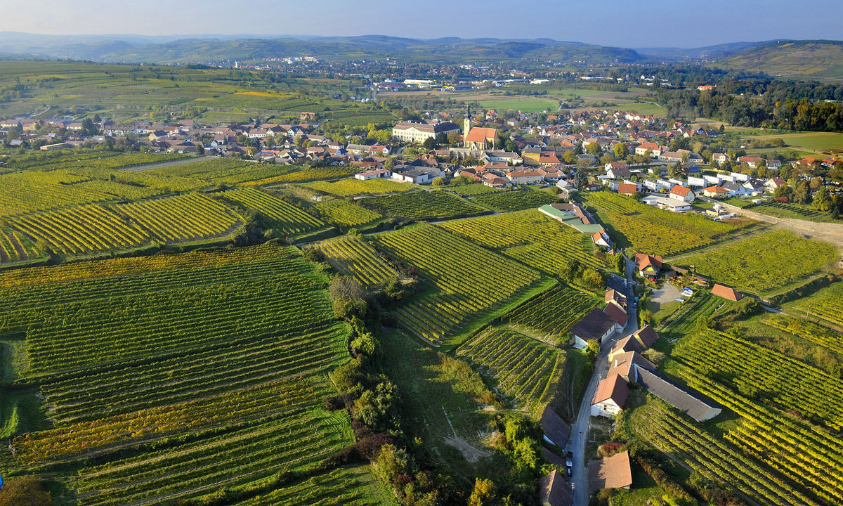 Header Weingut Schloss Gobelsburg