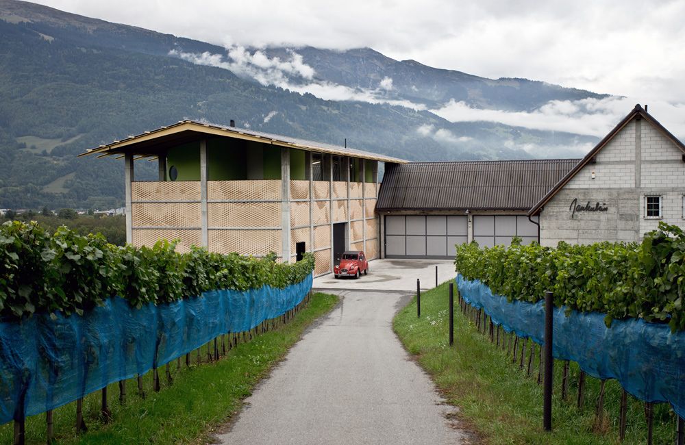Weingut Gantenbein Bild 2