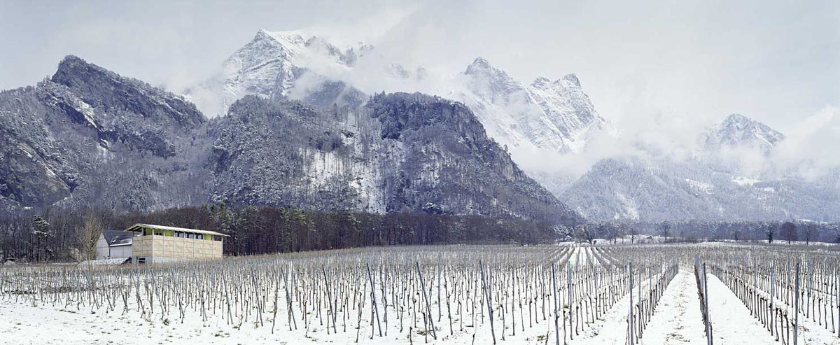 Header Weingut Gantenbein