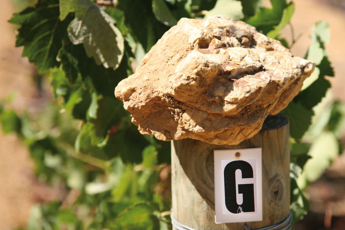 4G Wine Estate Bild 2