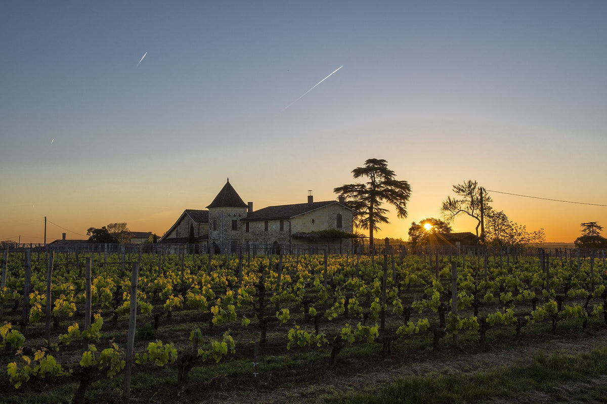 Header Château Canon la Gaffelière