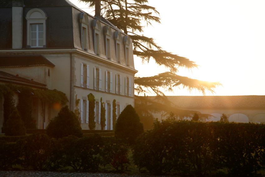 Chateau Guiraud Bild 2