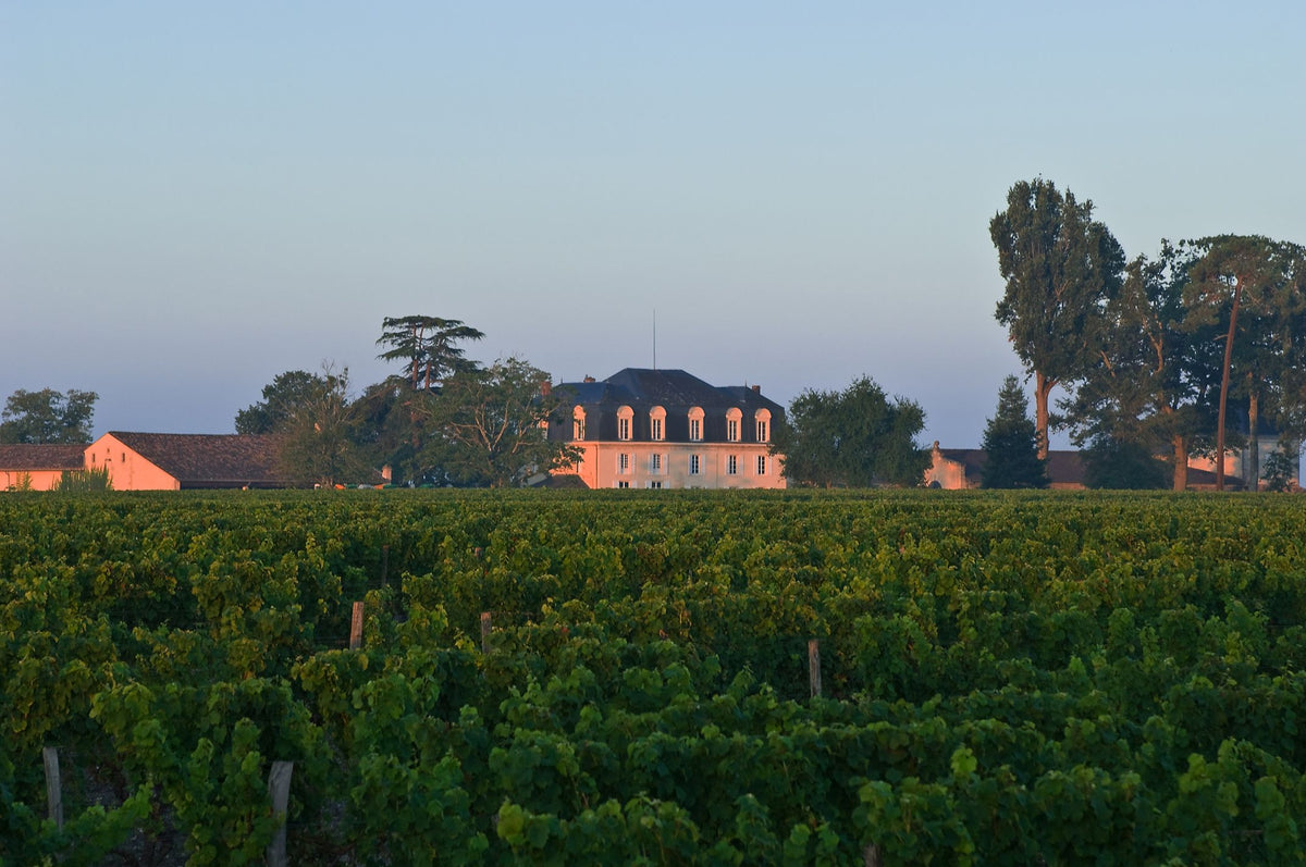 Header Chateau Guiraud
