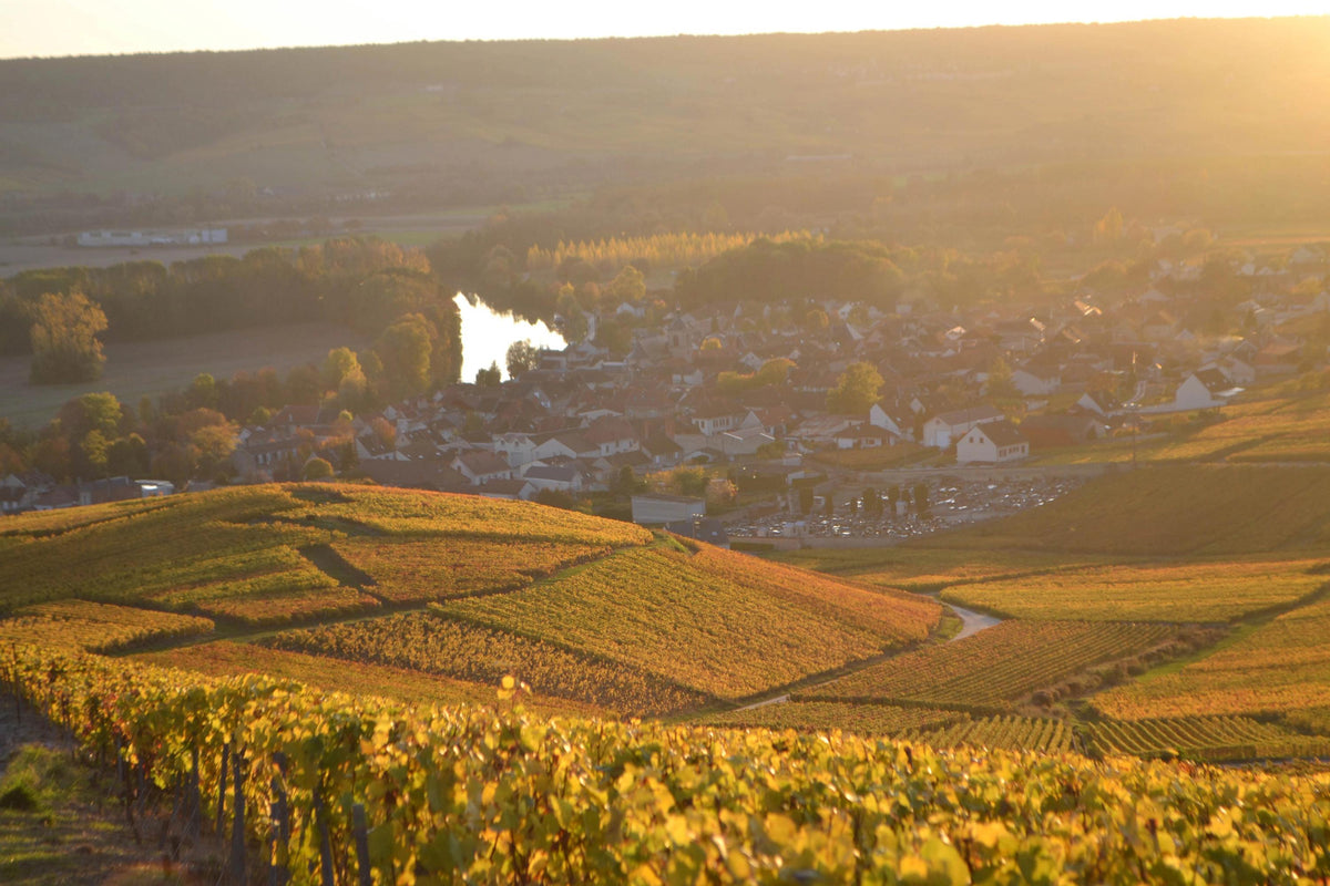 Header Champagne Geoffroy
