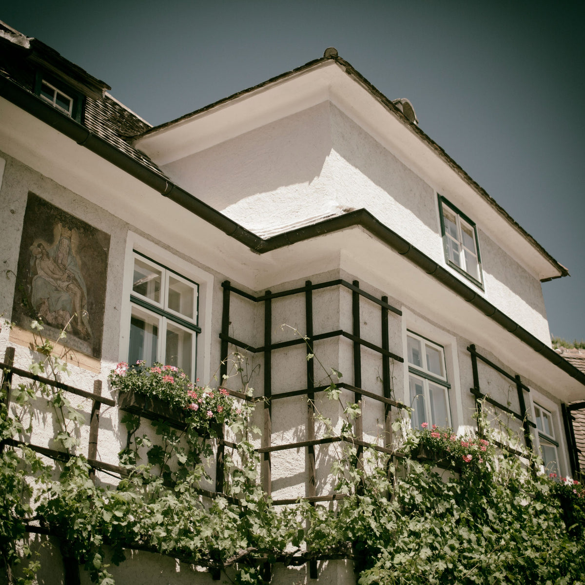 Weingut Hirtzberger Bild 2